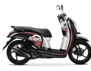 Scoopy Belang